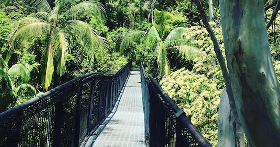 Scenic skywalk stop on a chauffeured day tour